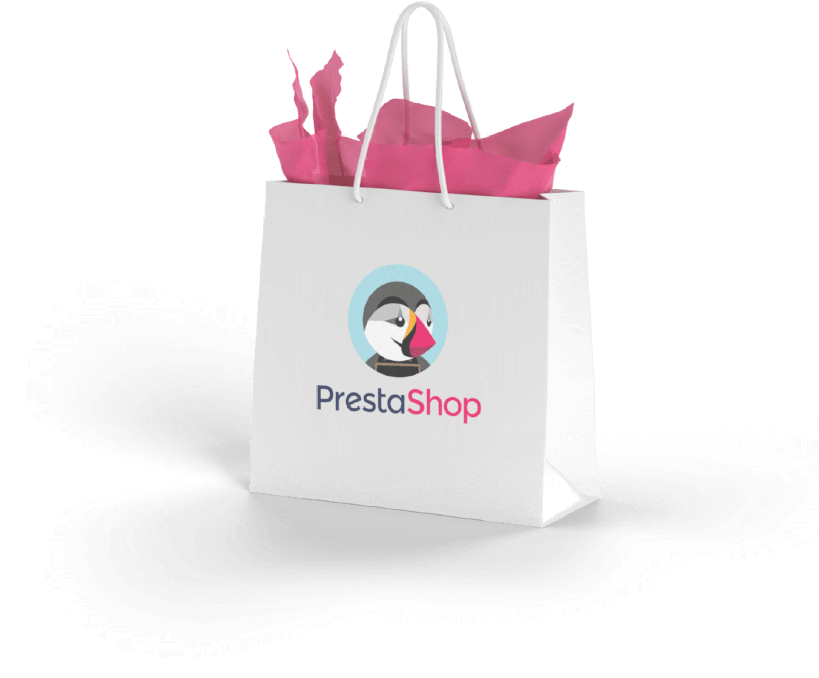 https://indiead.ee/wp-content/uploads/2024/07/Prestashop-kott.png